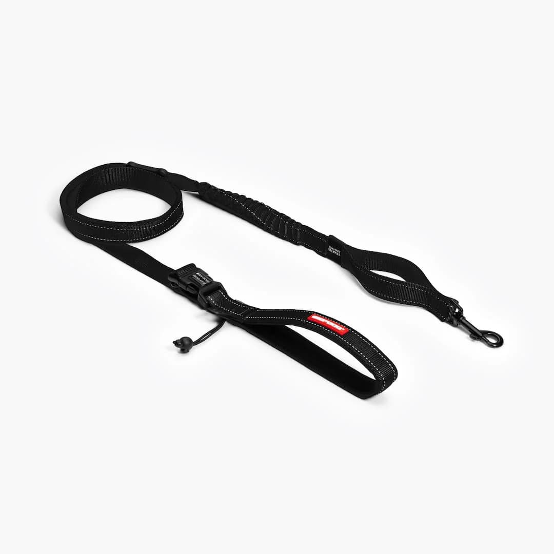 EzyDog Road Runner™ Leash