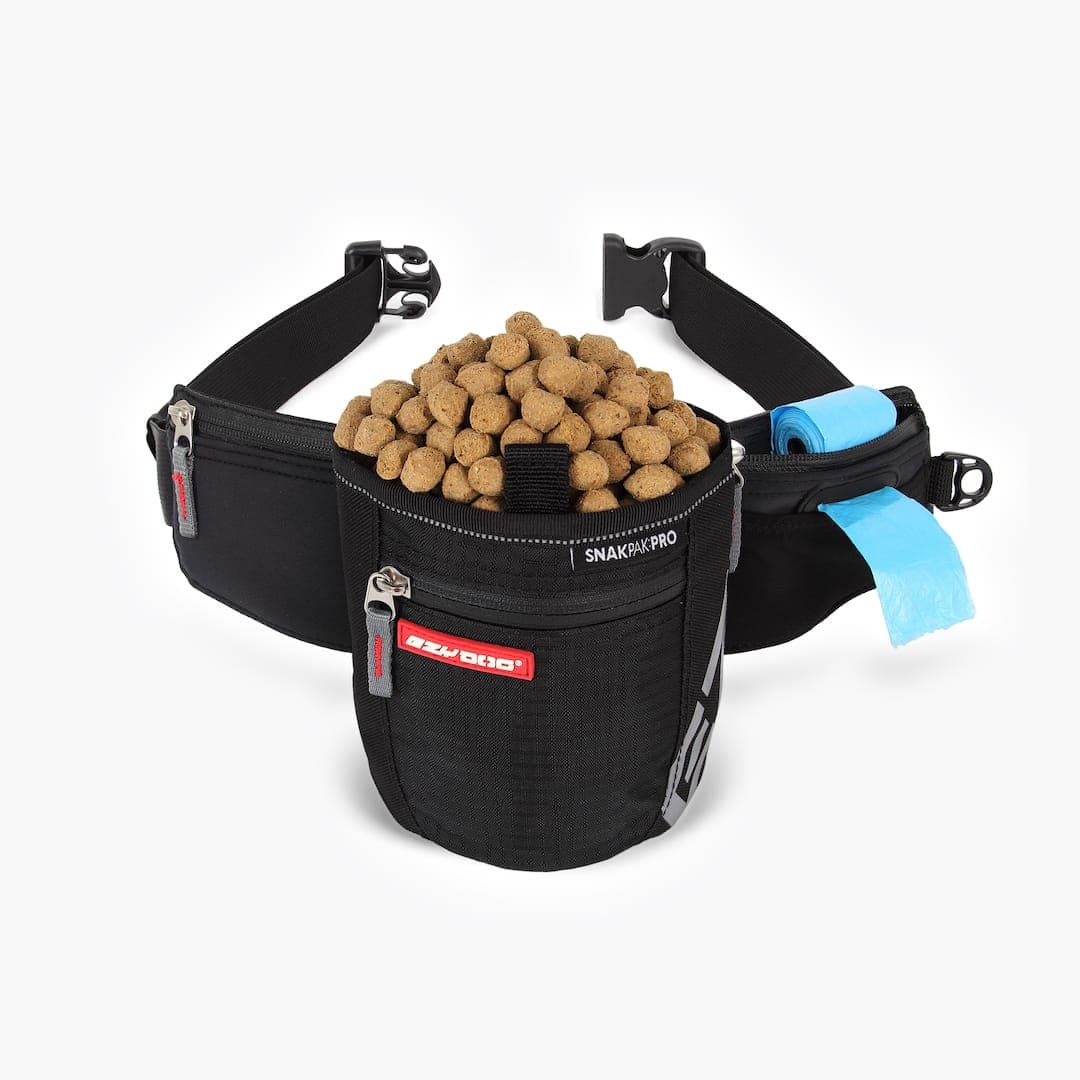 EzyDog SnakPak Pro Treat Belt