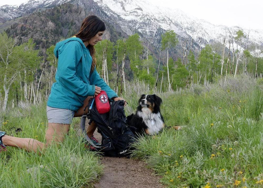 How to Carry an Injured Dog Off a Trail: Rescue-Sling Fit, Practice, and Evacuation Planning