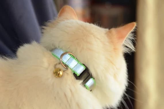 Fox Valley Pet Wear 5/8-inch Extra Wide Reflective Breakaway Safety Cat Collar