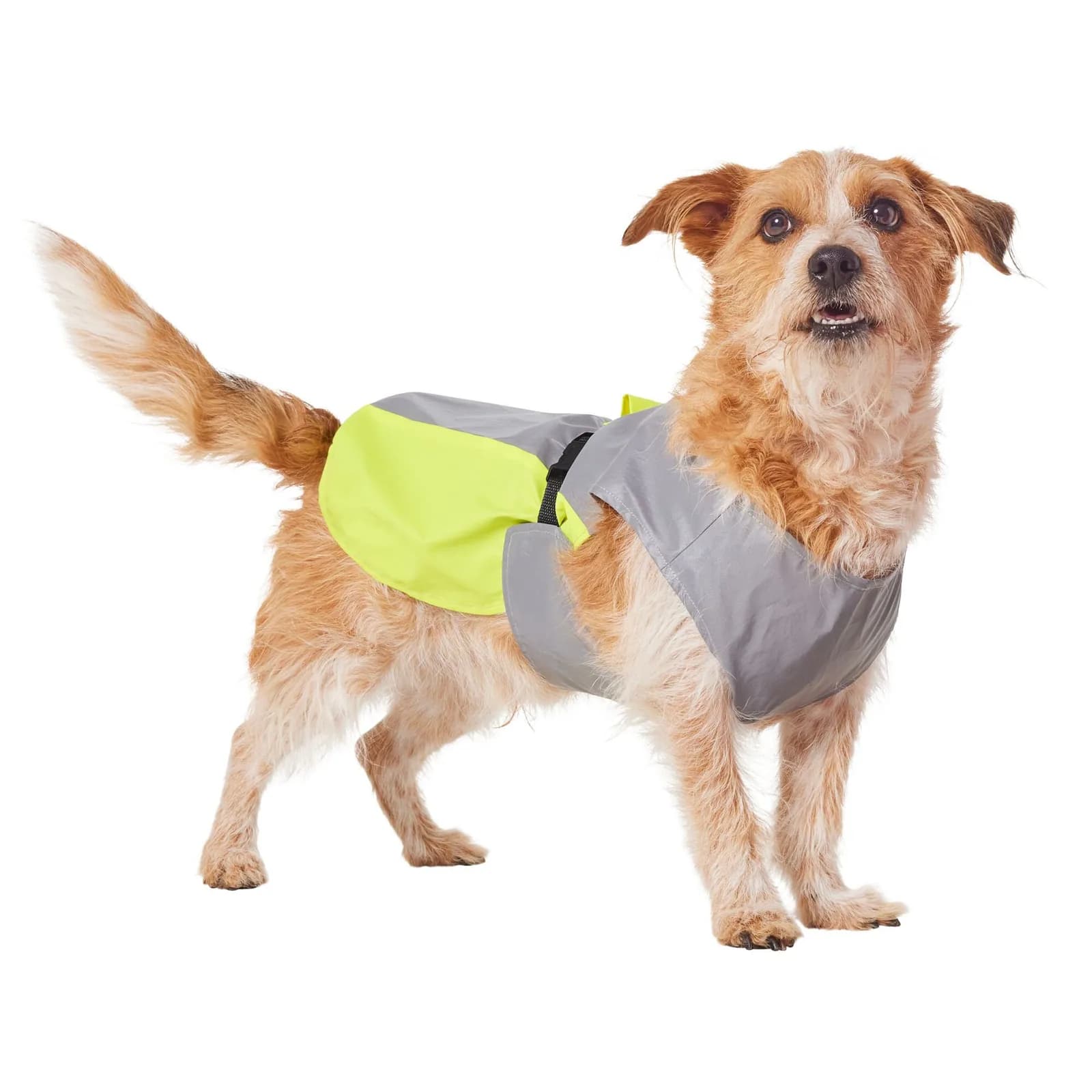 Frisco Reflective Dog Safety Vest