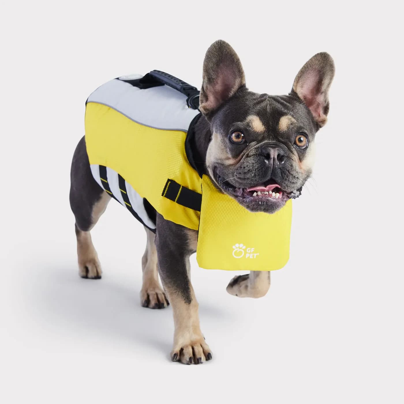 GF PET featured product