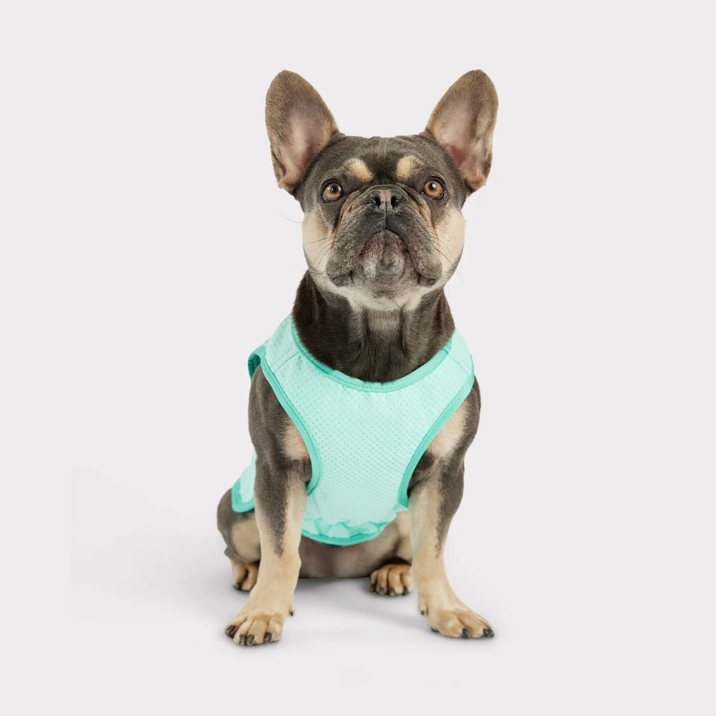 GF PET Elasto-Fit Ice Vest
