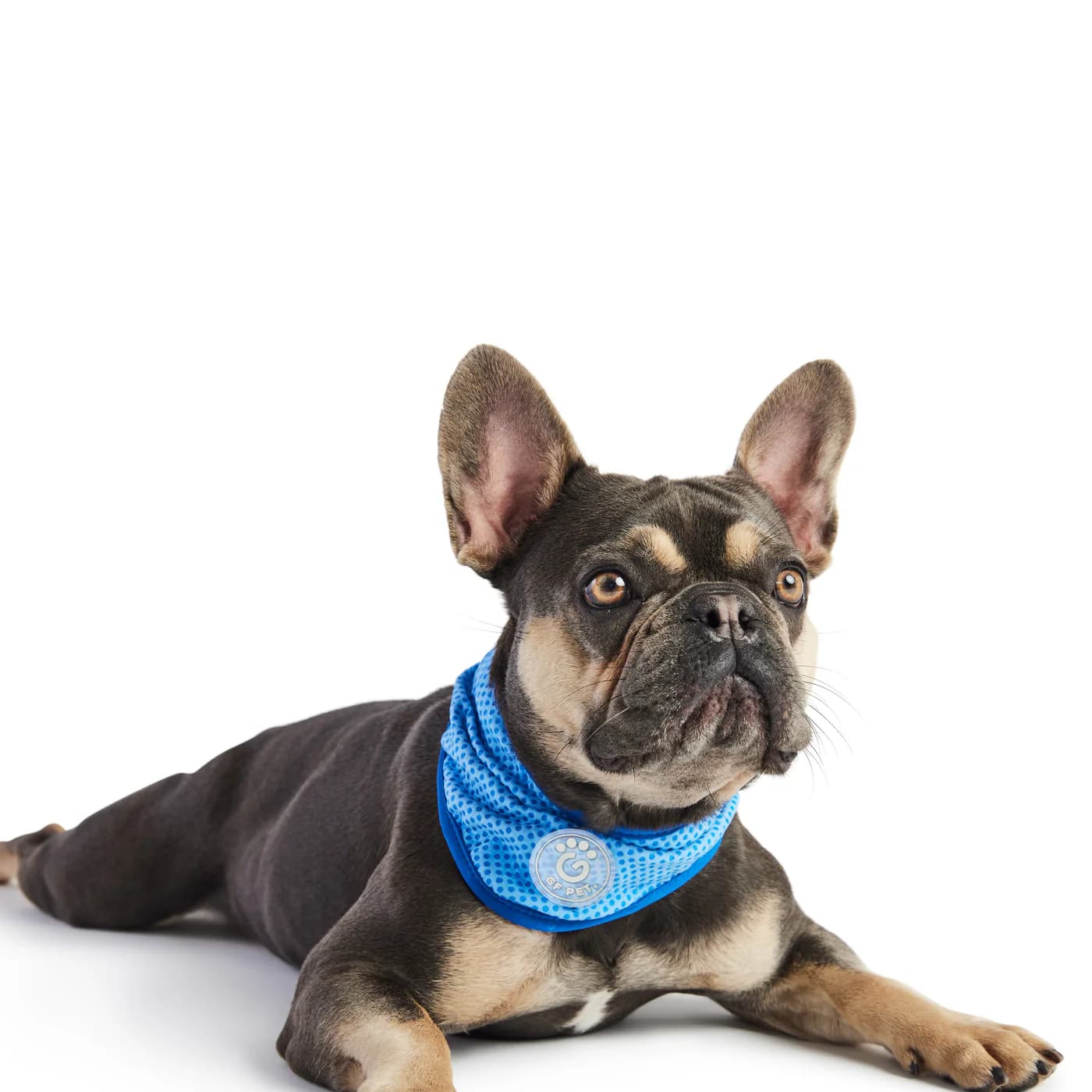GF Pet ICE-BAND Dog Cooling Bandana