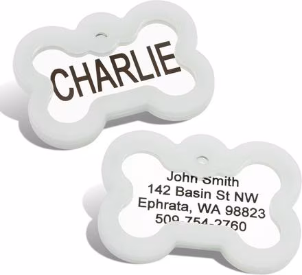 GoTags Stainless Steel Personalized Dog Tag with Silencer, Bone Regular
