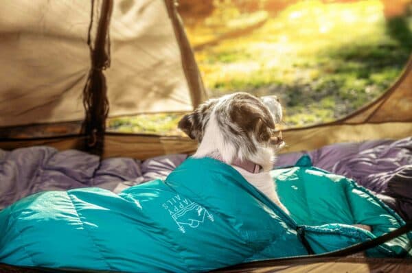 Happy Trails PNW Tahoma Dog Sleeping Bag