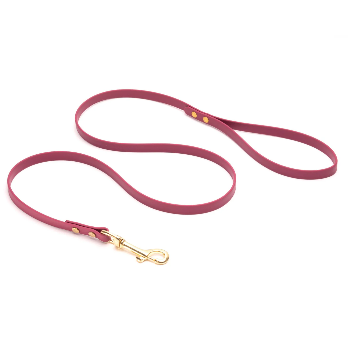 High Tail Hikes Quick Ship Brass Leashes + Long Lines - Medium Dogs (1/2 in Width)