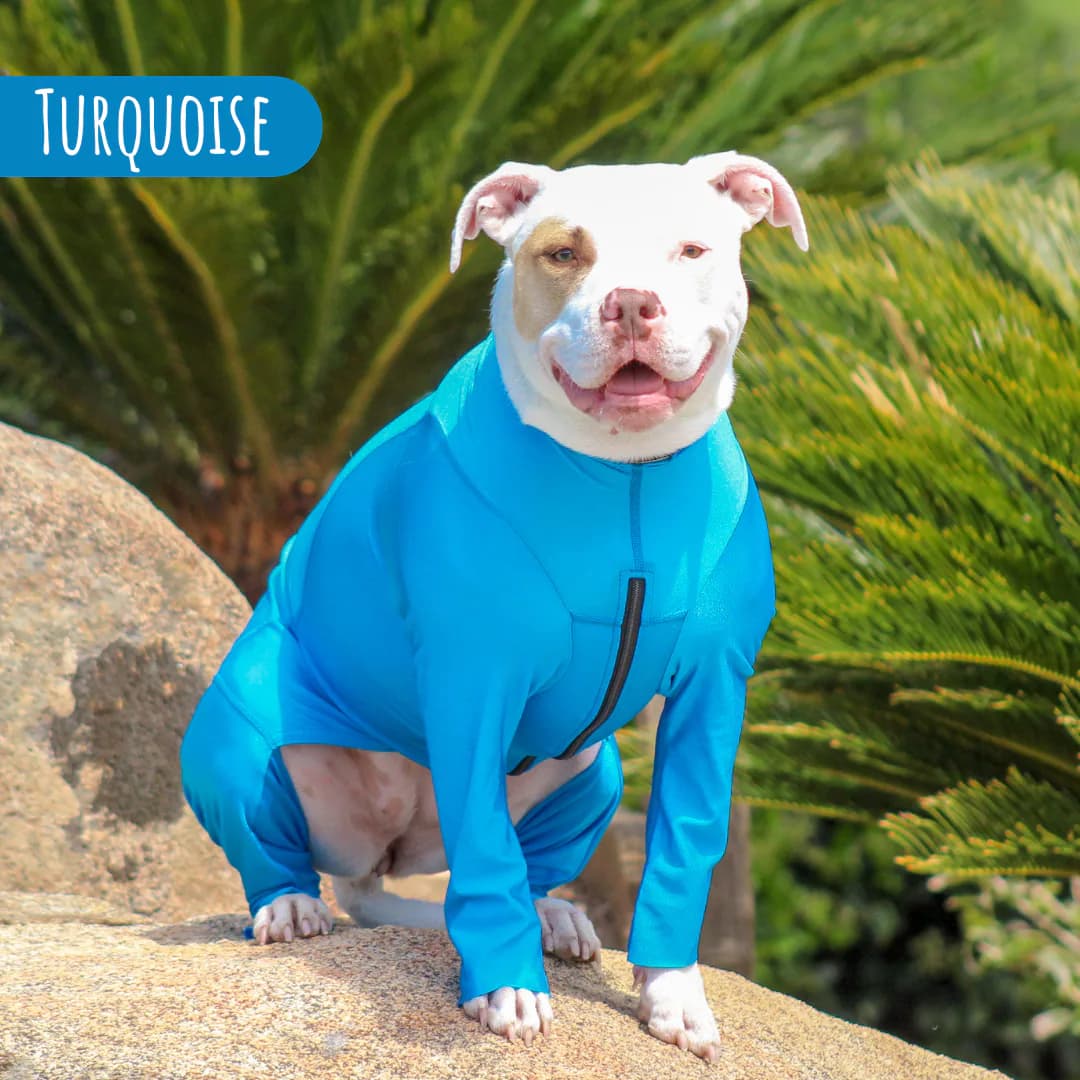 K9 Top Coat Supra Bodysuit
