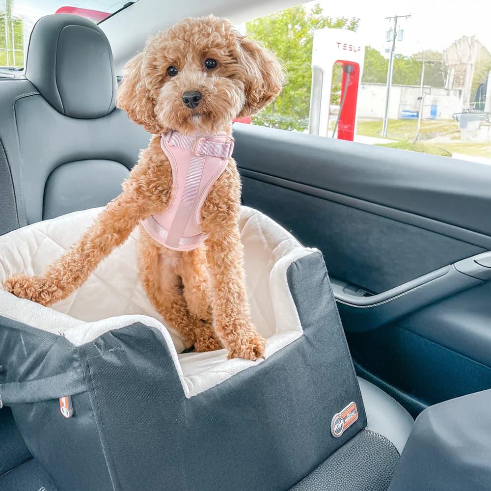 K&H Pet Products Bucket Booster Pet Seat