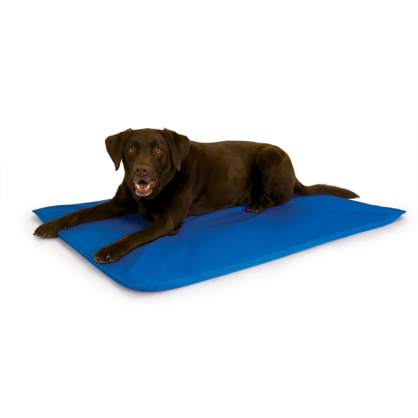 K&H Pet Products Cool Bed III