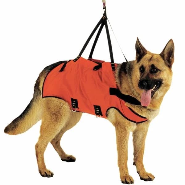 KONG TAXI Emergency Harness