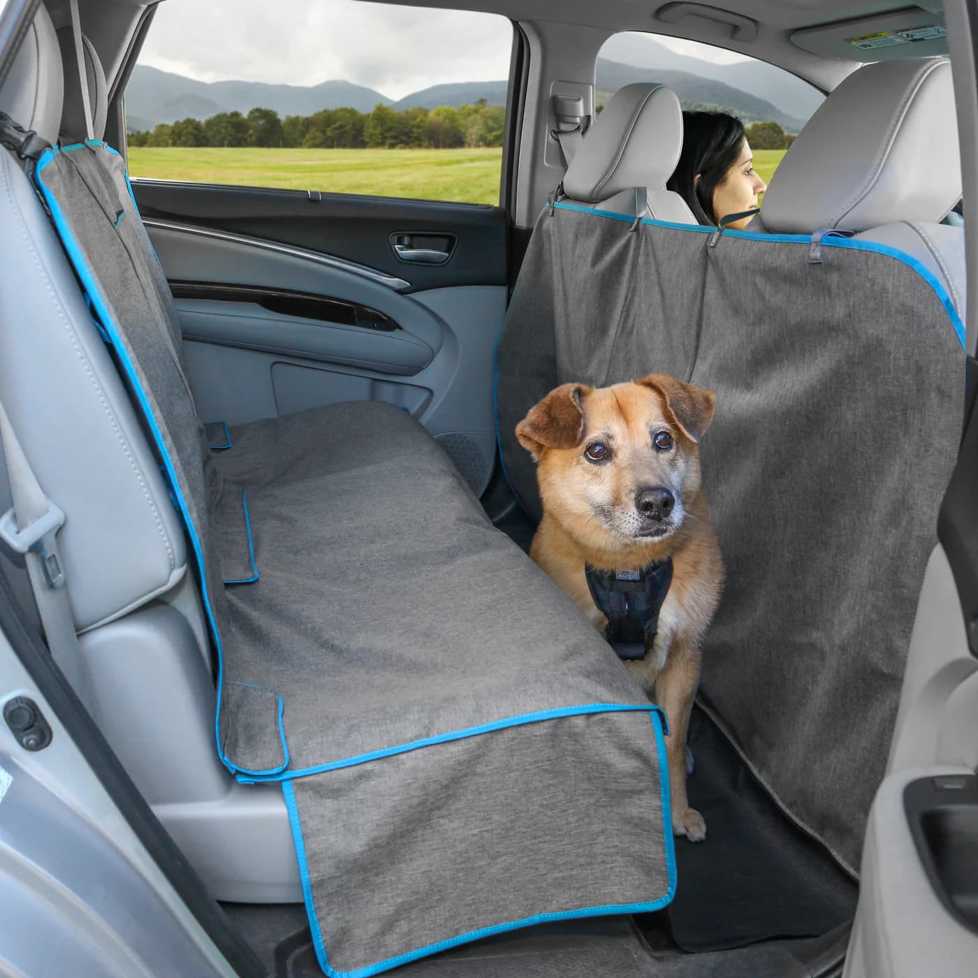 How to Use a Dog Car Barrier Safely
