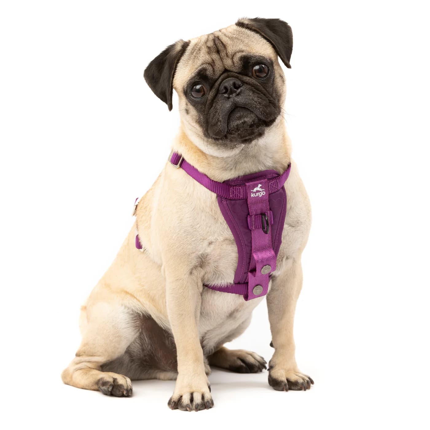 Kurgo Enhanced Strength Tru-Fit Dog Car Harness
