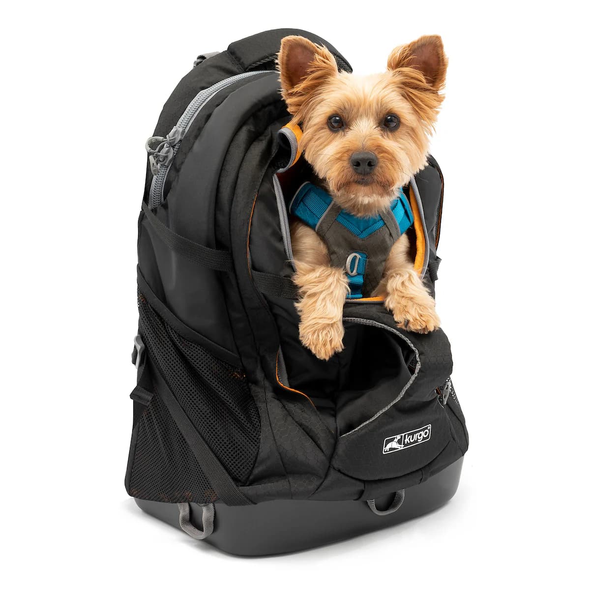 8 Best Dog Carrier Backpacks