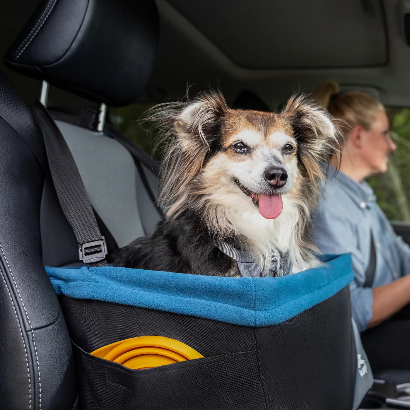 Kurgo Rover Dog Booster Seat