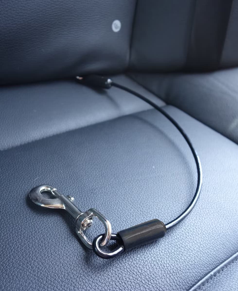 10 Best Dog Seat Belt Tethers for Car Travel