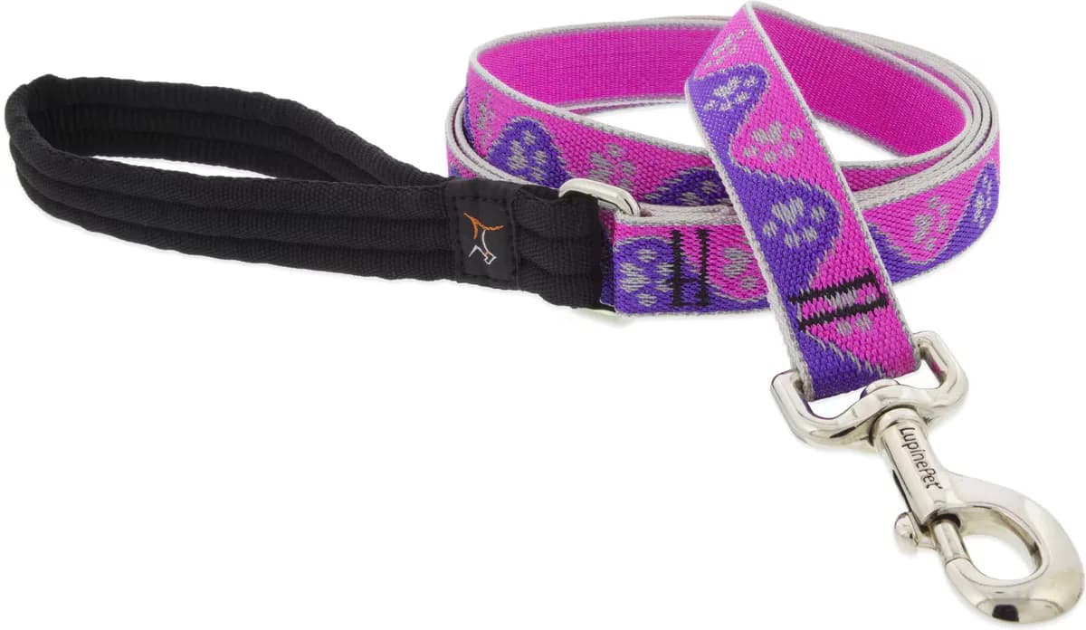 LupinePet Reflective Paws Padded Handle Dog Leash