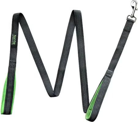 Mighty Paw HandleX2 Nylon Reflective Dog Leash