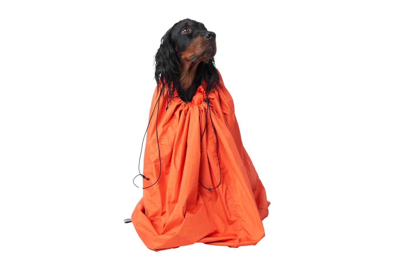 Non-stop dogwear Protector Bivvy Bag