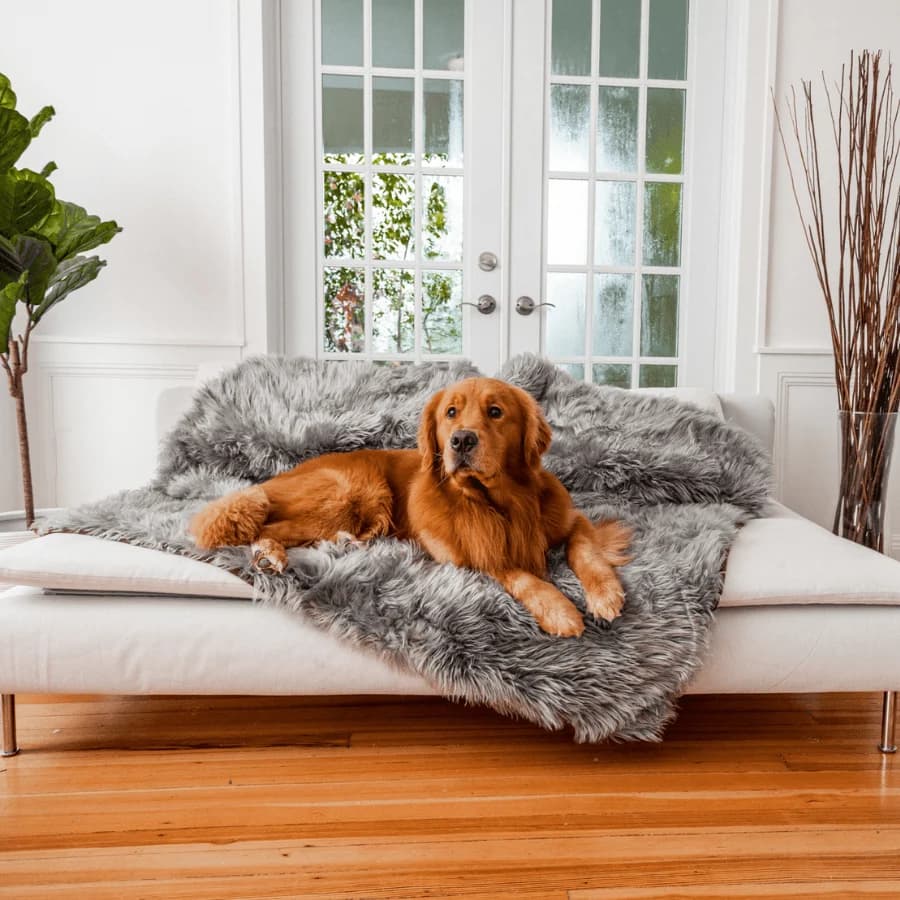 Paw.com PupProtector Waterproof Throw Blanket - Charcoal Grey