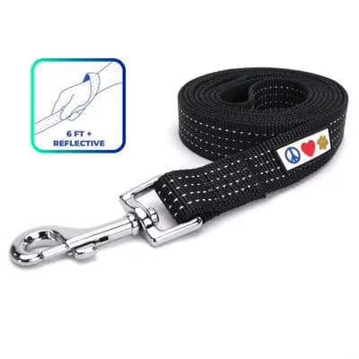 10 Best Reflective Dog Leashes for Night Walks and Outdoor Visibility