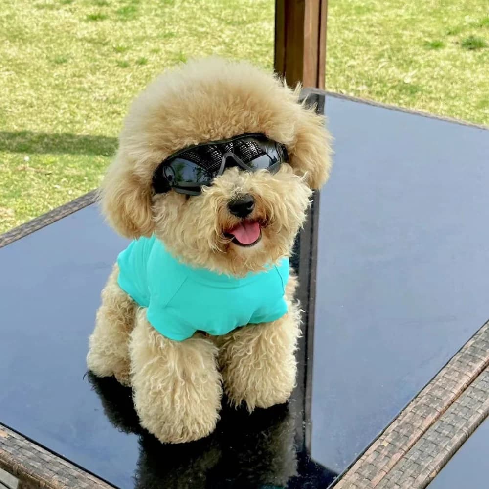 PEBOT Gobi UPF 2000+ Sun Protection / Cooling Tee - Teal