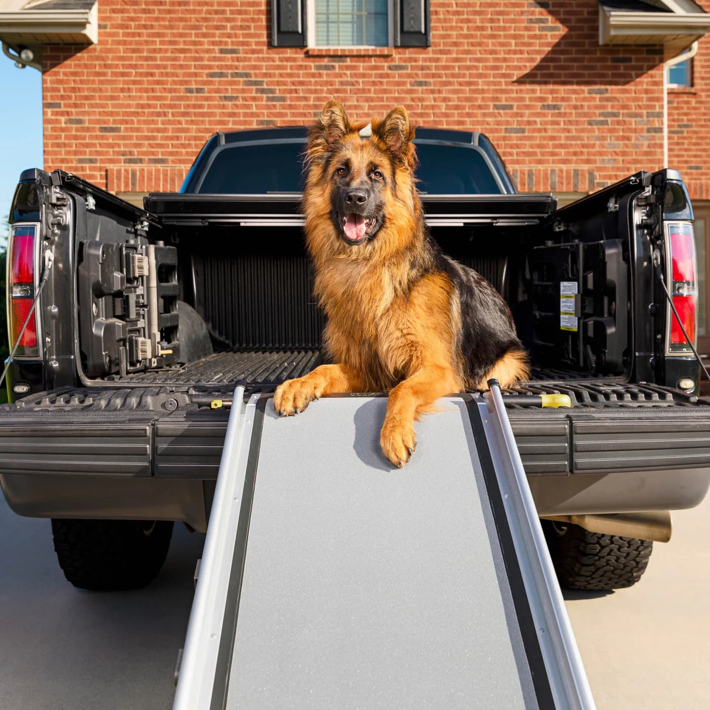 10 Best Dog Ramps for Cars
