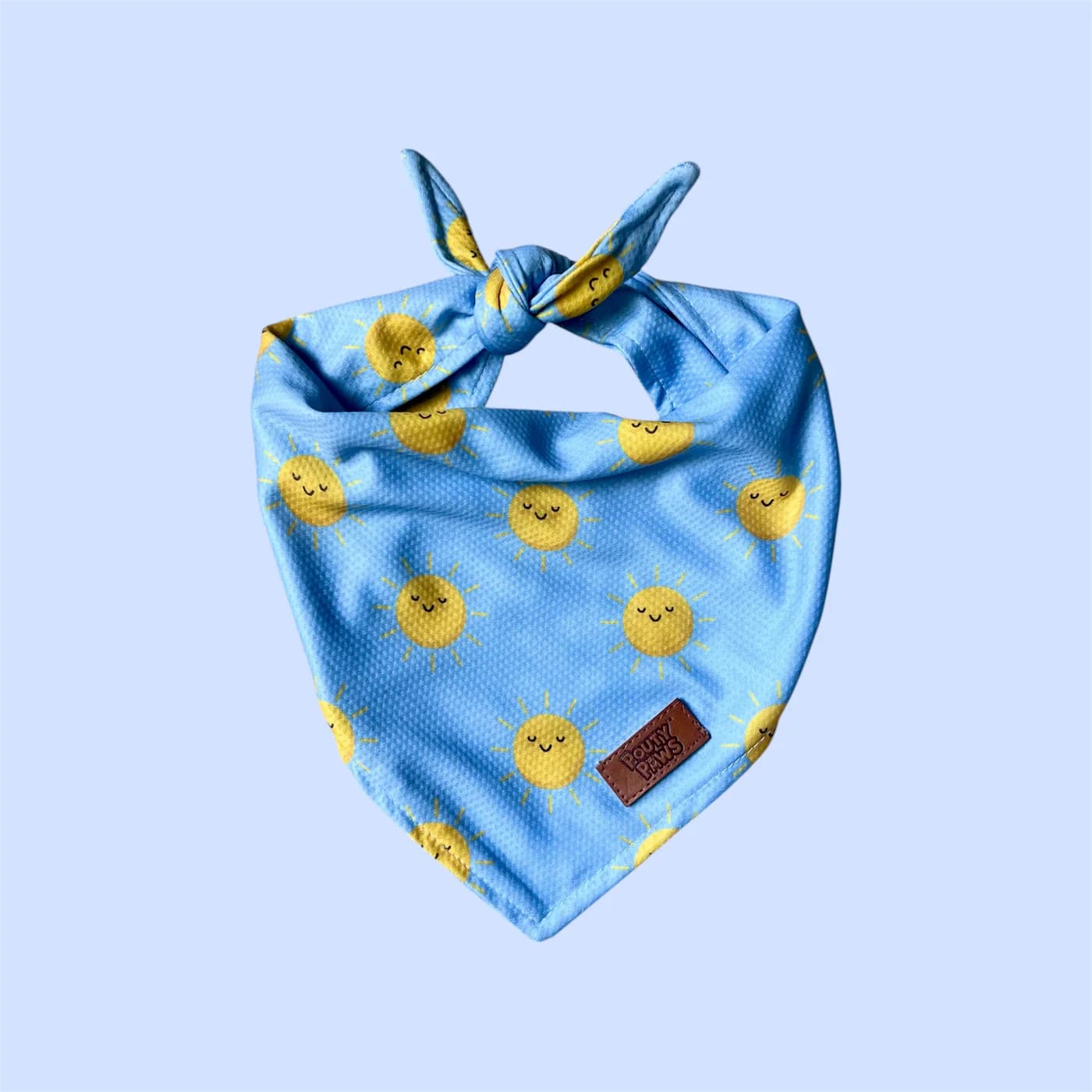 Pouty Paws Dog Cooling Bandana | Evaporative Mesh
