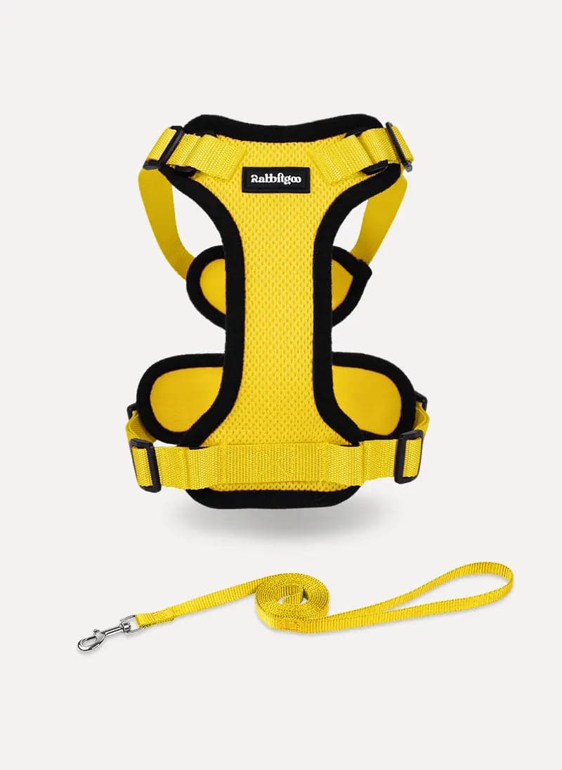Rabbitgoo Classic Adjustable Cat Harness and Leash Set