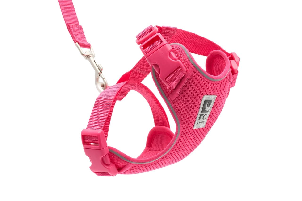 RC Pets Adventure Kitty Harness