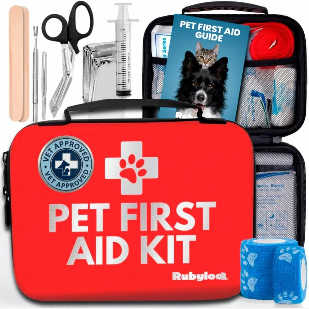 How to Pack a Dog Travel Bag for Road Trips
