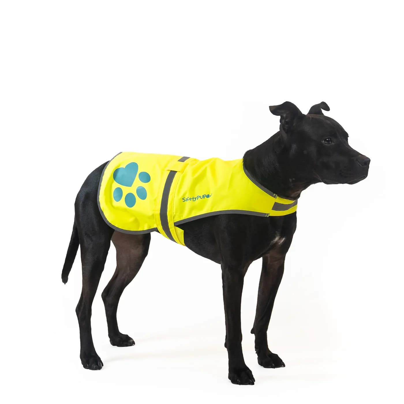 SafetyPUP XD Urban Reflective Dog Vest