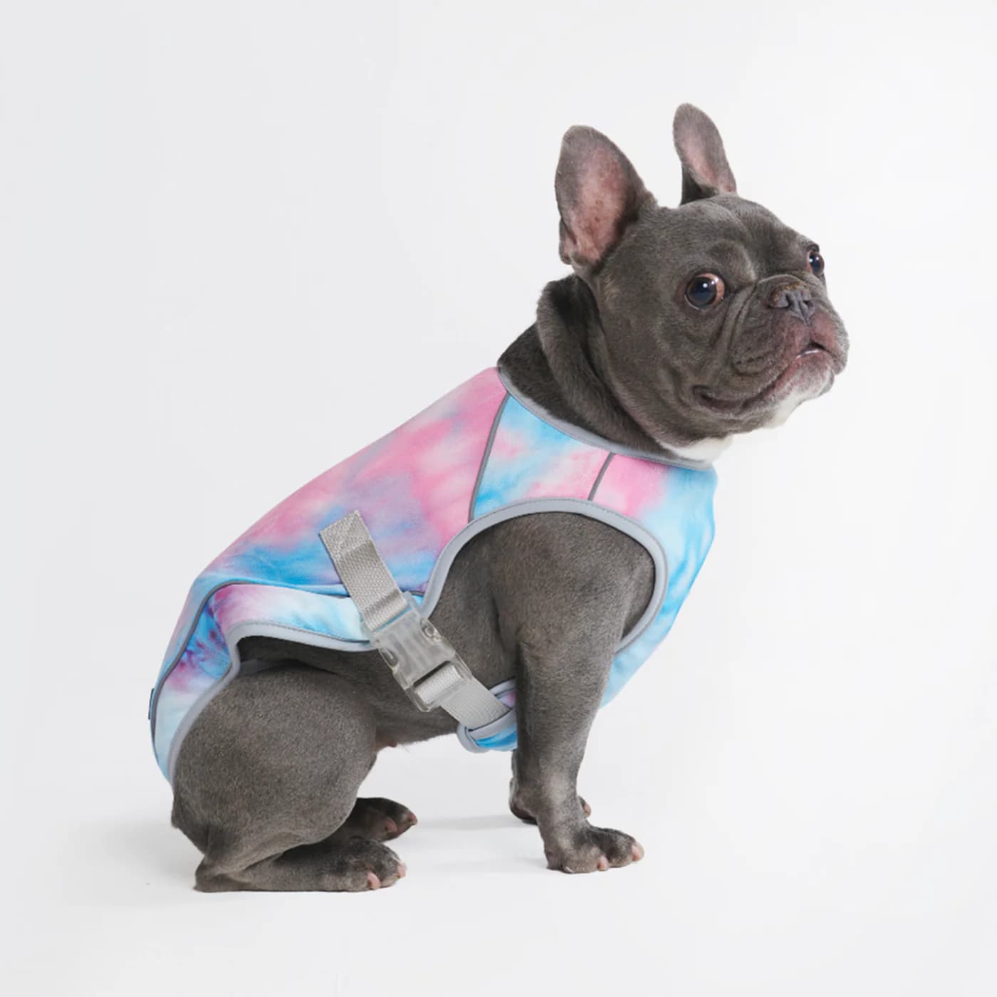 Spark Paws Chilltech Dog Cooling Vest – Snow Cone