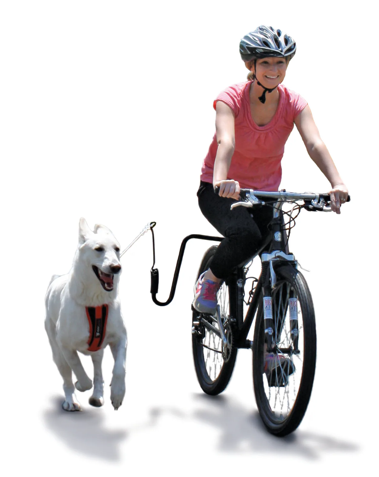Springer Springer Dog Exerciser Kit