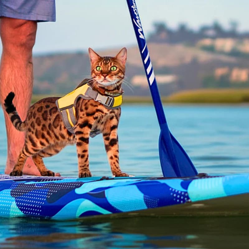 SurferCat Cat Life Jacket