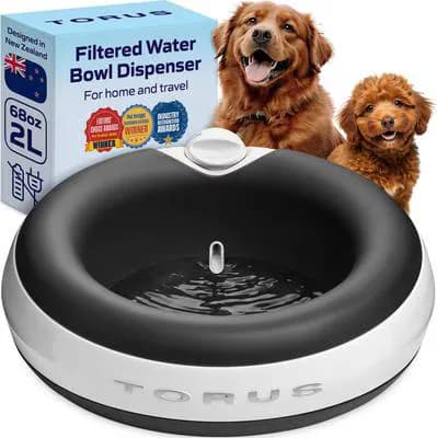 Torus Pet Filtered Dog & Cat Water Bowl, Charcoal, 68 oz