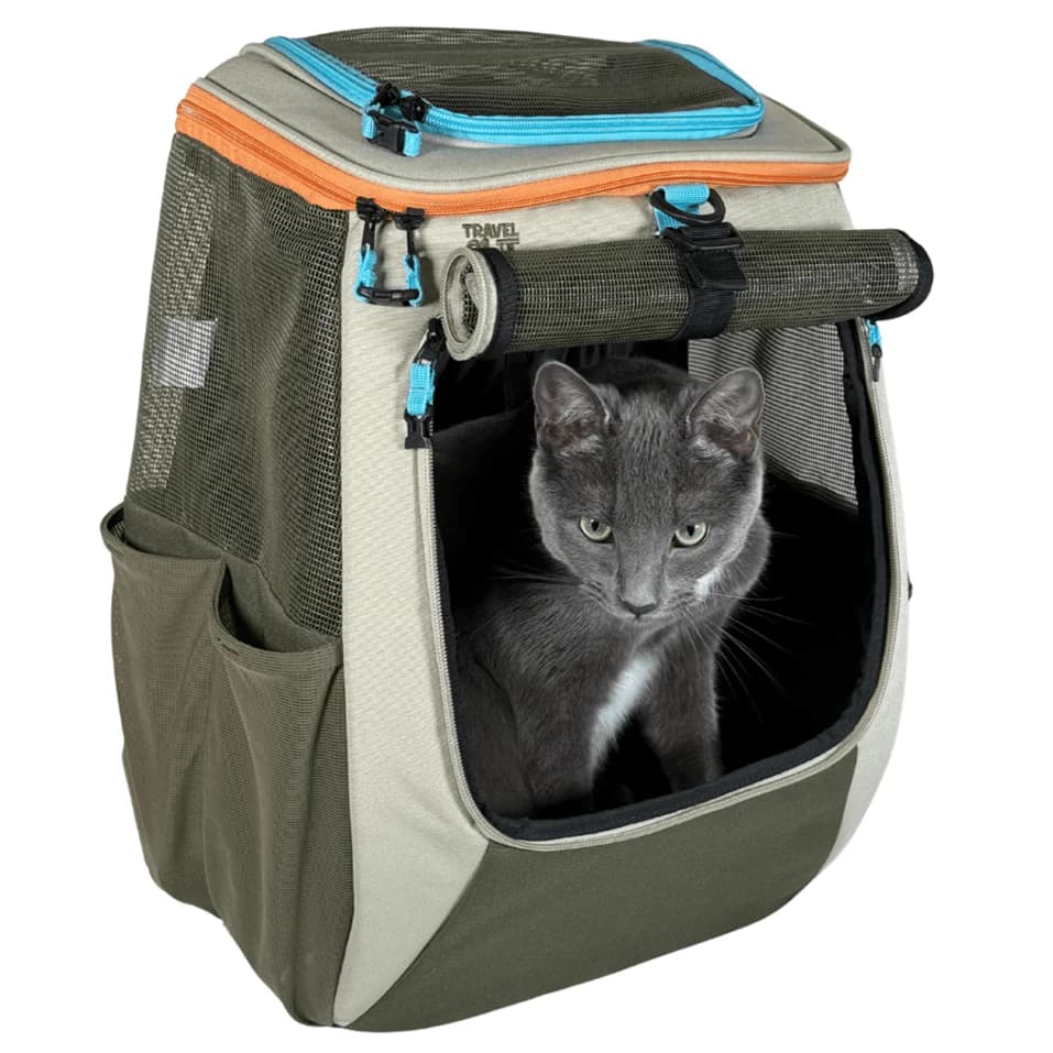 5 Best Cat Backpacks for Travel and Outdoor Trips