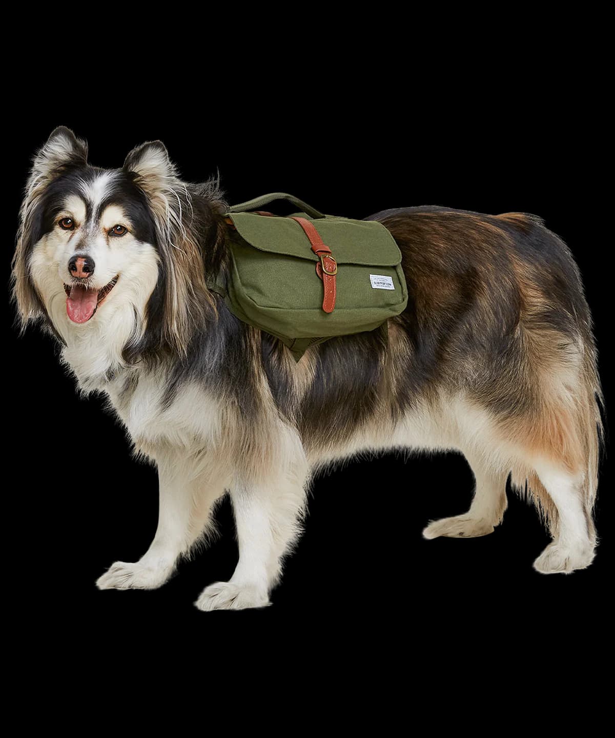 Wolf Republic Ranger Pack